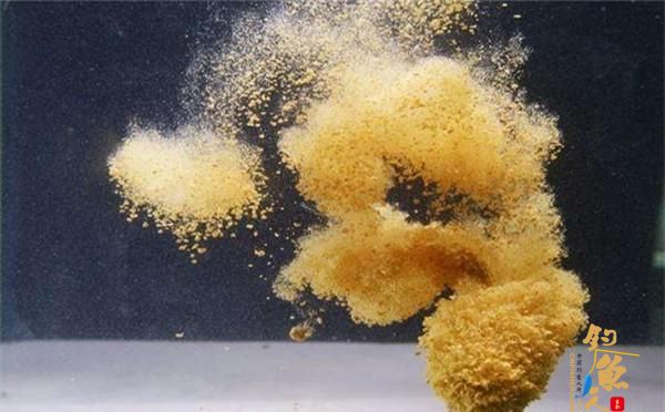 调好的浮漂，目数变多了，这是咋回事