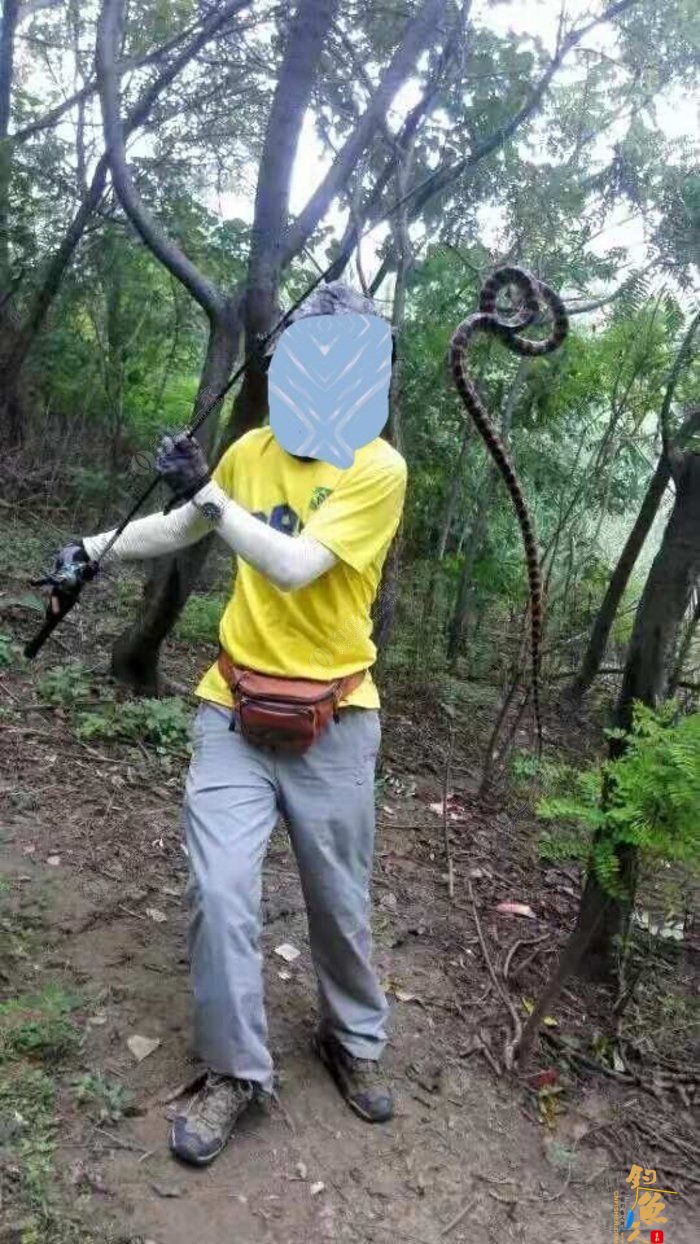 转文:路亚是个传说,路亚是种精神!