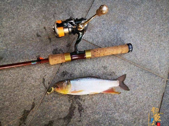 转文:路亚是个传说,路亚是种精神!