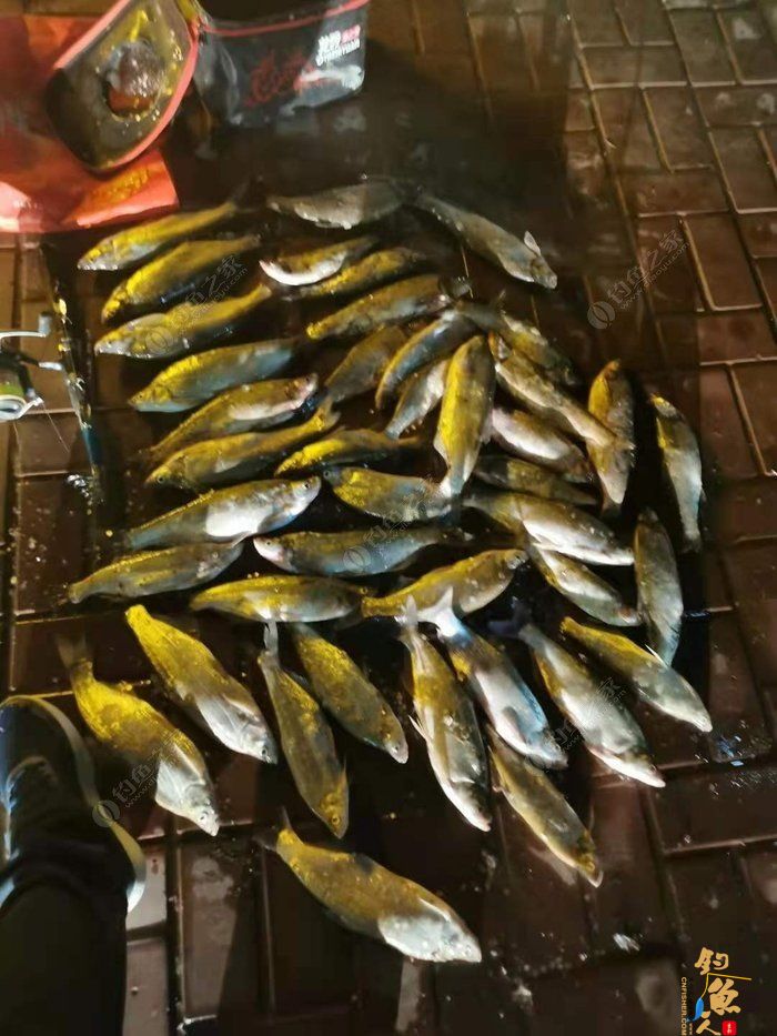 转文:路亚是个传说,路亚是种精神!