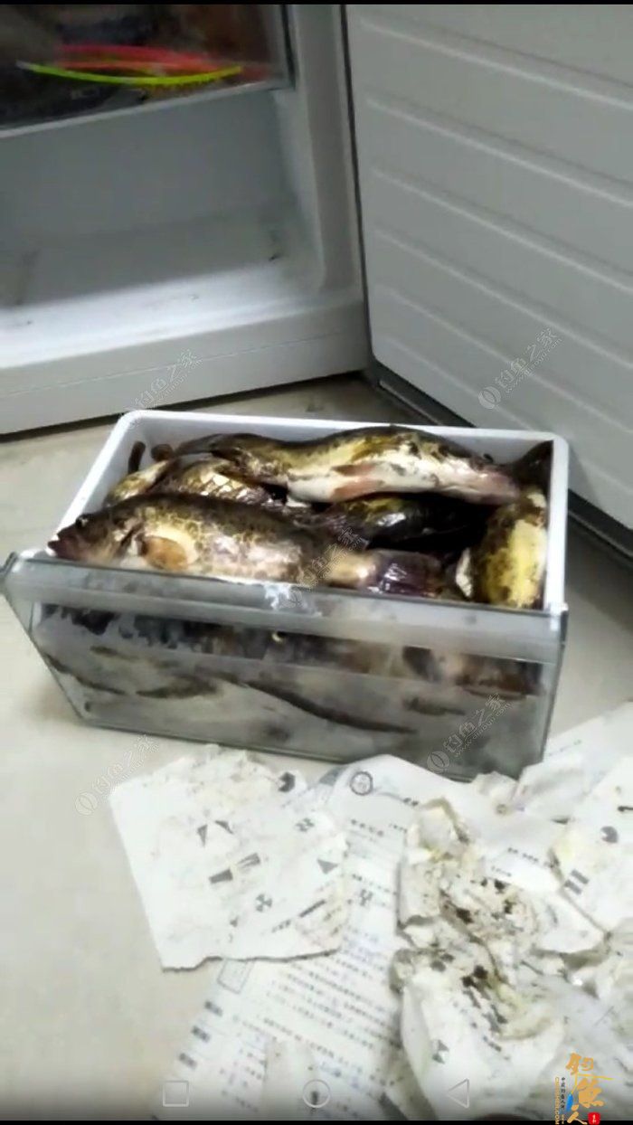 转文:路亚是个传说,路亚是种精神!