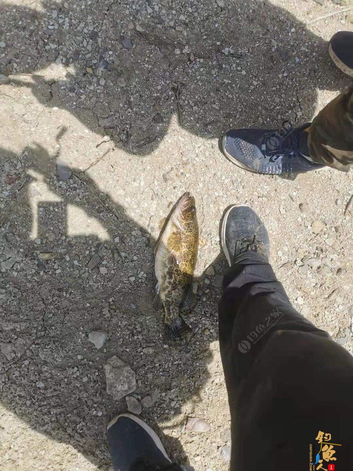 转文:路亚是个传说,路亚是种精神!