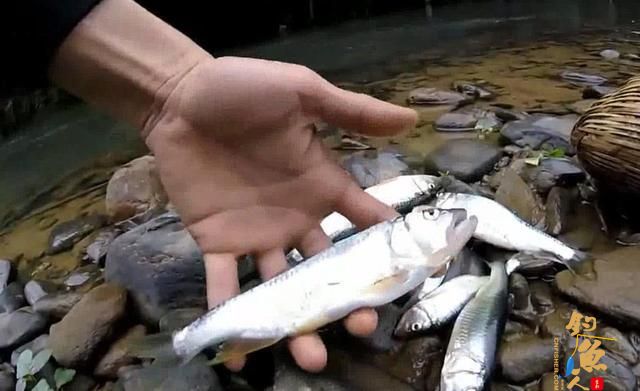 拟饵太轻抛不远，用这三个方法连接助投器