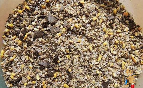 水库钓鲤鱼的4个秘密绝招,学会以备不时之需