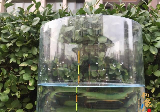 号称能自动找底的子线跑铅钓法，到底有哪些优点