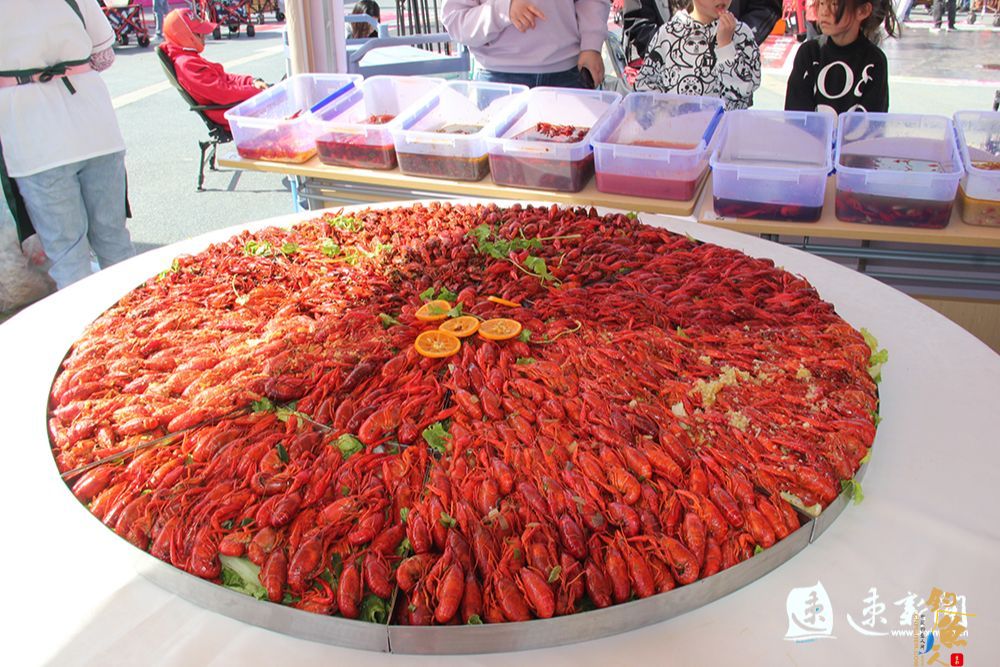 中国·泗洪洪泽湖国际大圆塘“美人鱼”百万超级杯开赛