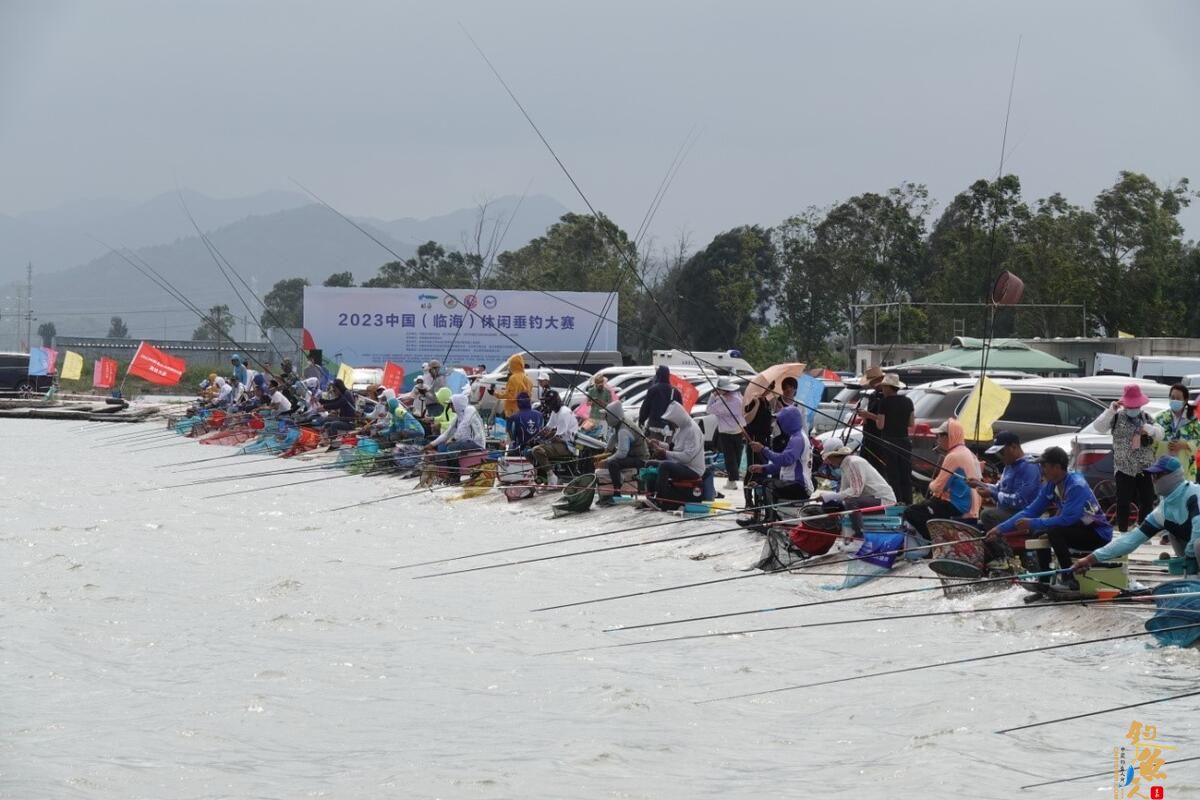 浙江省钓鱼协会举办2023中国（临海）休闲垂钓大赛活动