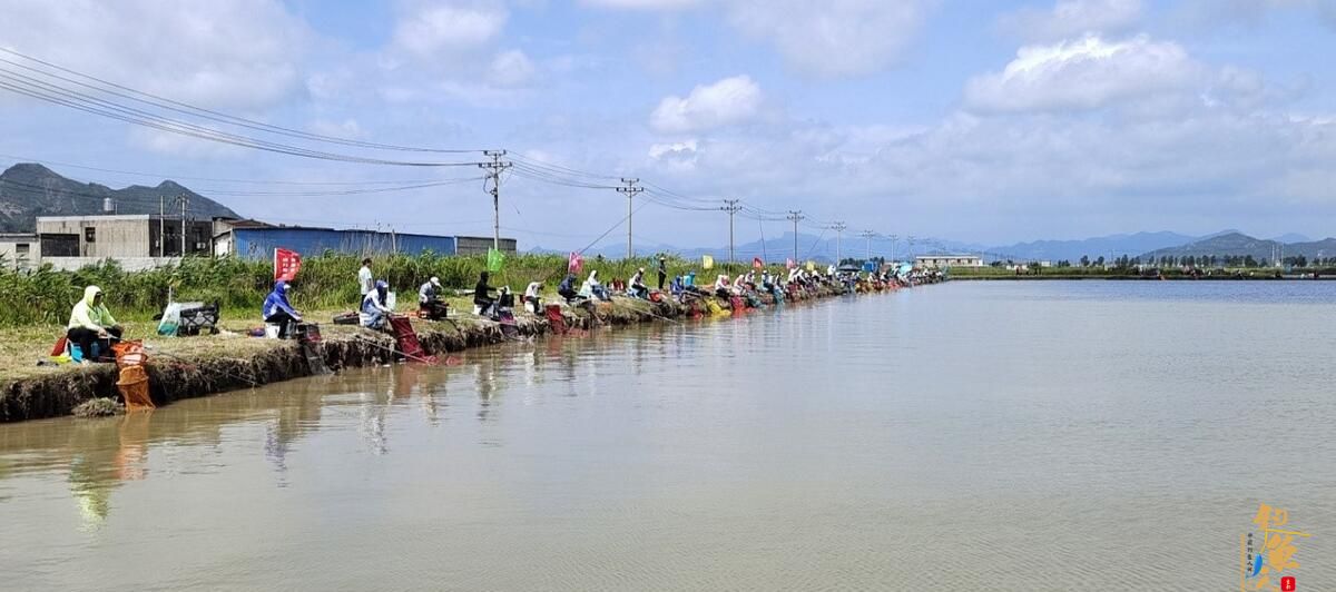浙江省钓鱼协会举办2023中国（临海）休闲垂钓大赛活动
