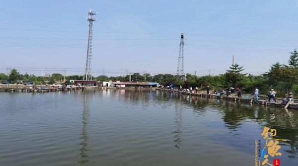 口岸杯钓鱼邀请赛火热开杆,80多名钓鱼爱好者齐聚一“塘”