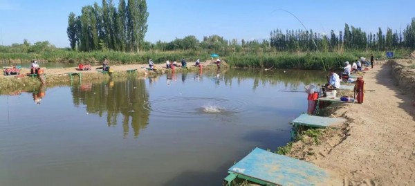 莫乎尔片区举办首届“逍遥谷杯”竞技垂钓比赛