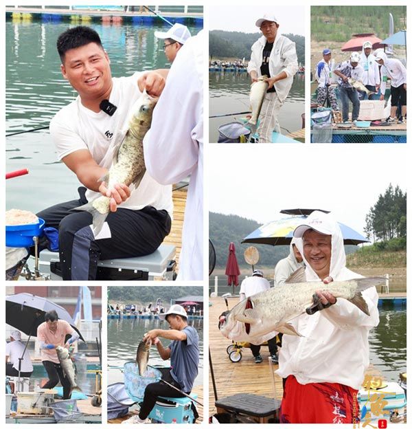 全国钓鱼公开赛关雎河畔“稻花香杯”湖北当阳站圆满举行 比赛照片