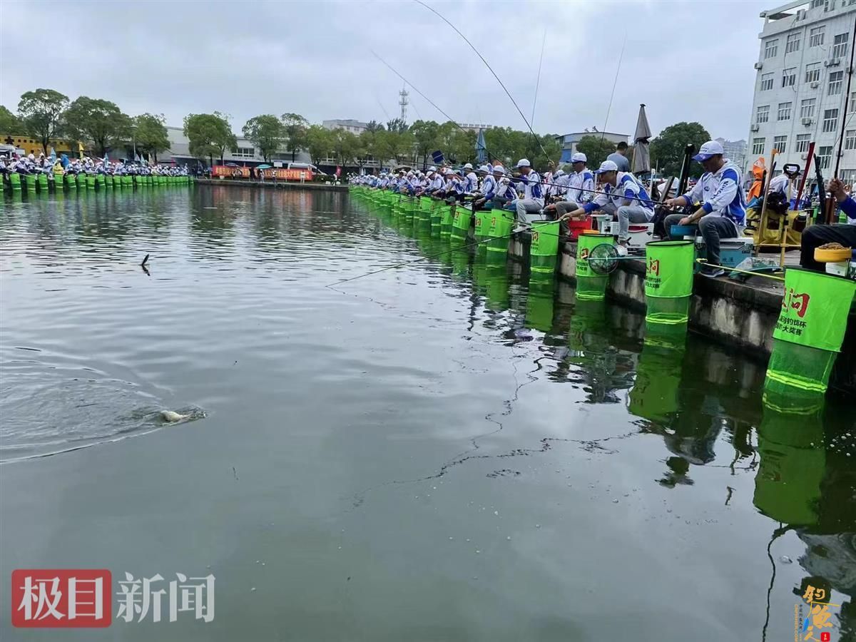 第九届“龙王恨·天问钓饵杯”全国钓鱼大奖赛在孝收竿