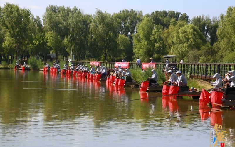 京张大众钓鱼联谊赛总决赛,6位选手钓到标鱼获奖品