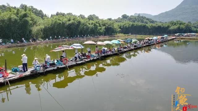 宜宾江安举办全国钓鱼邀请赛:260余名垂钓高手同“塘”竞技,冠军获2万元奖金