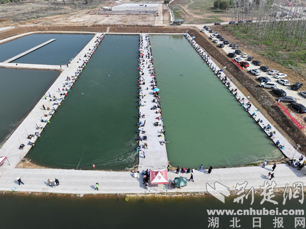 2024年“荆楚杯”钓鱼争霸赛晋级赛在荆门漳河新区开赛，来自湖北省各地及周边省的152名钓鱼爱好者参赛