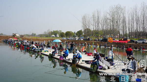 2024年“荆楚杯”钓鱼争霸赛晋级赛在荆门漳河新区开赛，来自湖北省各地及周边省的152名钓鱼爱好者参赛