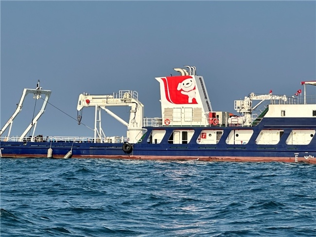 网曝京东将包船前往南海直播海钓 网友:钓上来的鱼可以直接送吗?