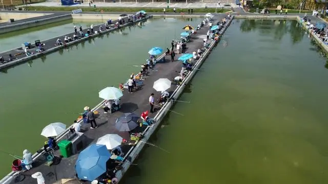 138名垂钓爱好者鏖战湖北沙洋乐山湖