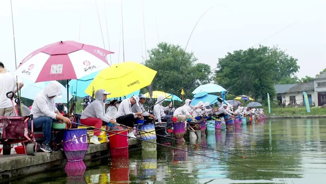 好过瘾，全国高手齐聚枝江参加“钓鱼比赛”！