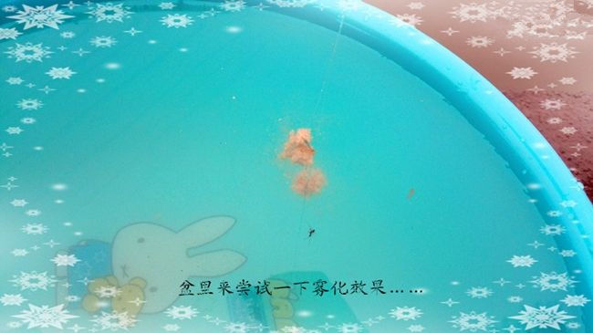 商品饵料搭配钓废塘大丰收鲮鱼