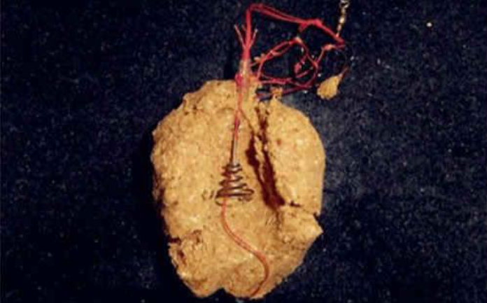 爆炸钩怎么用,上鱼才能更快