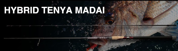 尽在掌握 Nories HYBRID TENYA MADAI 真鲷竿