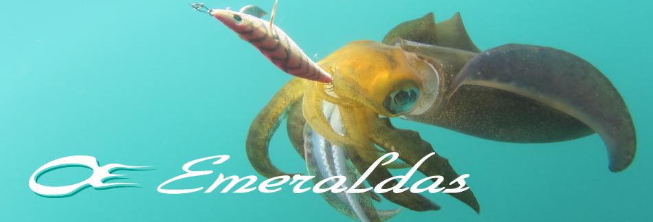 超轻量 DAIWA EMERALDAS AIR AGS 乌鱼竿