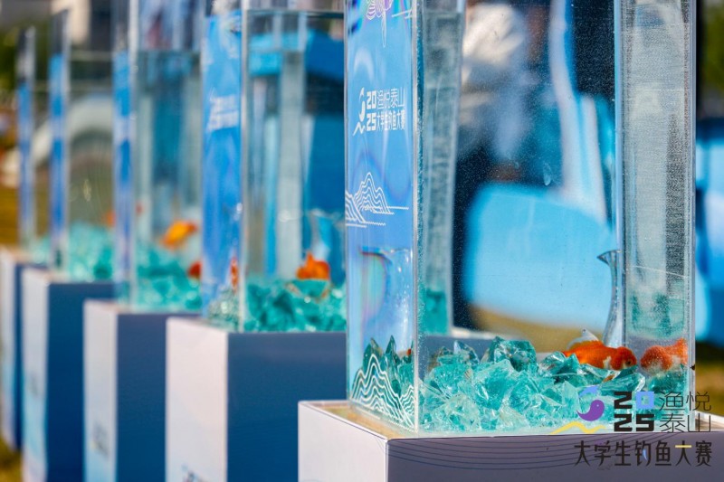 2025泰山·大学生钓鱼大赛在泰山科技学院明湖畔圆满落幕