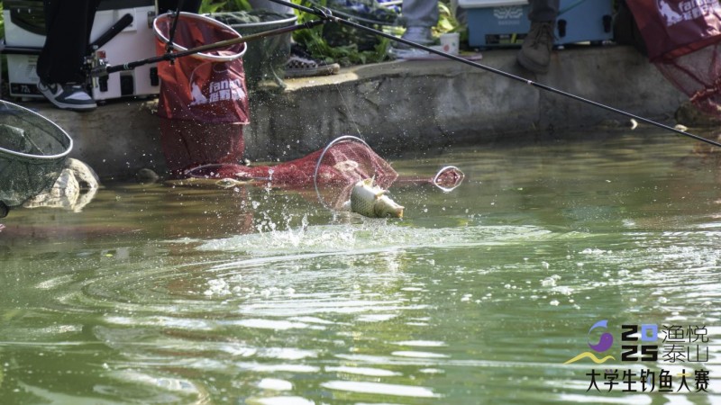 2025泰山·大学生钓鱼大赛在泰山科技学院明湖畔圆满落幕