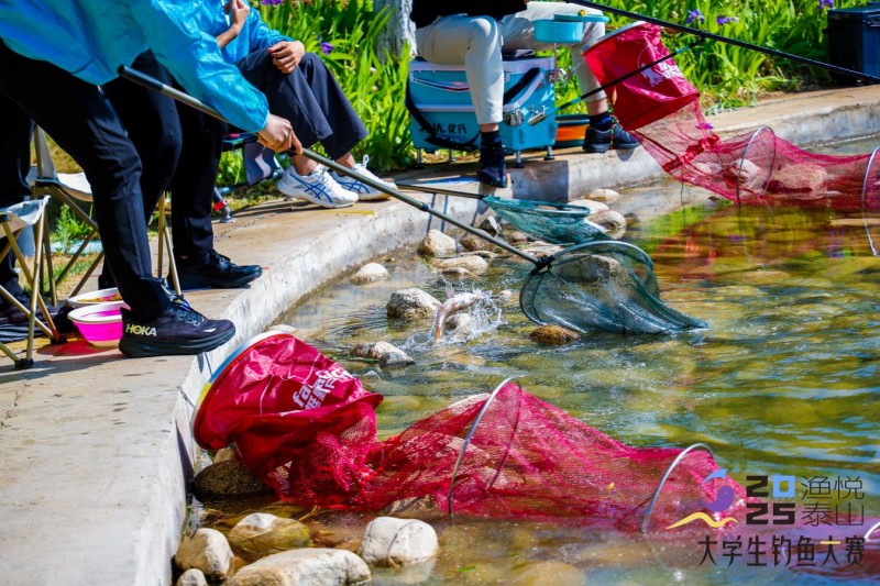 2025泰山·大学生钓鱼大赛在泰山科技学院明湖畔圆满落幕