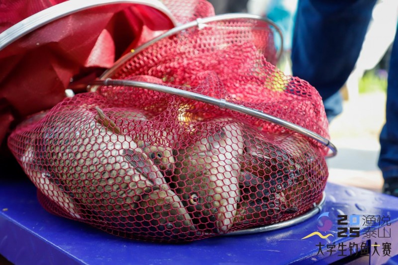 2025泰山·大学生钓鱼大赛在泰山科技学院明湖畔圆满落幕