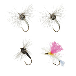 DAIWA TENKARA KIT 天展钓套装