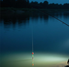 夏天夜钓怎么钓到大鱼？李大毛分享野钓夜钓实战技巧，告别空军