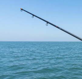 舟山台钓技巧与装备选择：新手入门到进阶钓点全攻略