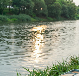 端午水库野钓鲫鱼技巧分享，选位用饵全攻略