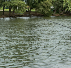 台钓抛竿别猛砸！这2个技巧让鱼不跑，新手变老手