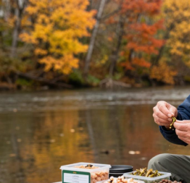 四季野钓技巧：春钓浅滩夏钓早晚，老钓友从不外传的选位秘诀