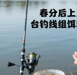 春分后上鱼快！台钓线组饵料这样搭，上钓台技巧全掌握