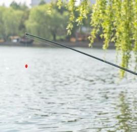 春钓旺季台钓拉钩技巧全攻略