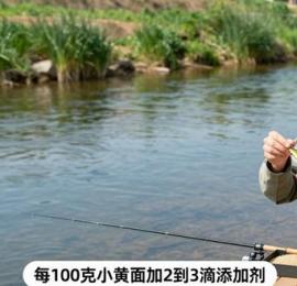 野钓小黄面这样用才对路 新手也能连杆爆护