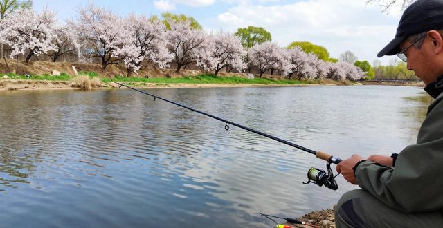 台钓调漂技巧_台钓抛杆技巧_北京台钓技巧