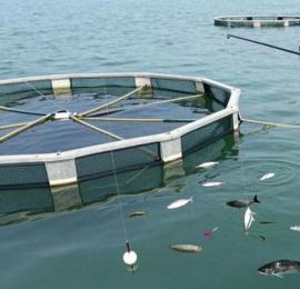 牧场海钓正流行 技巧分享助你玩转海上“寻宝”