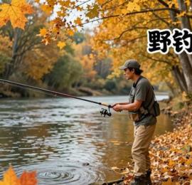 秋季野钓鲫鱼爆护攻略：黄金天气避坑与神仙饵料配方